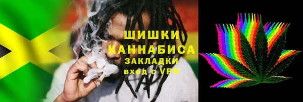 соль ск Арсеньев