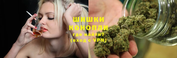 соль ск Арсеньев